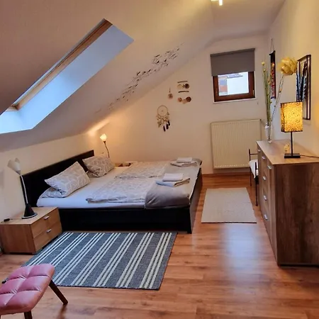 普利瓦特沃农里博辛斯基民宿 公寓 Undenheim