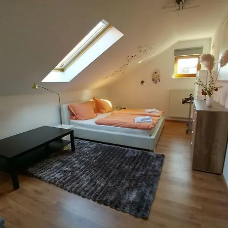 普利瓦特沃农里博辛斯基民宿 *