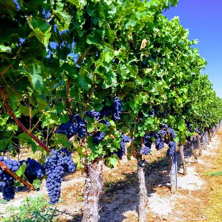 Privatwohnung Rybczynski Appartement Undenheim