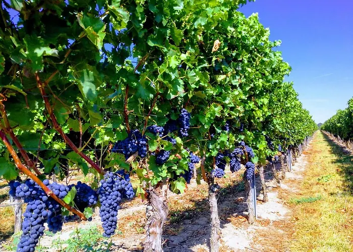 Privatwohnung Rybczynski アパート Undenheim